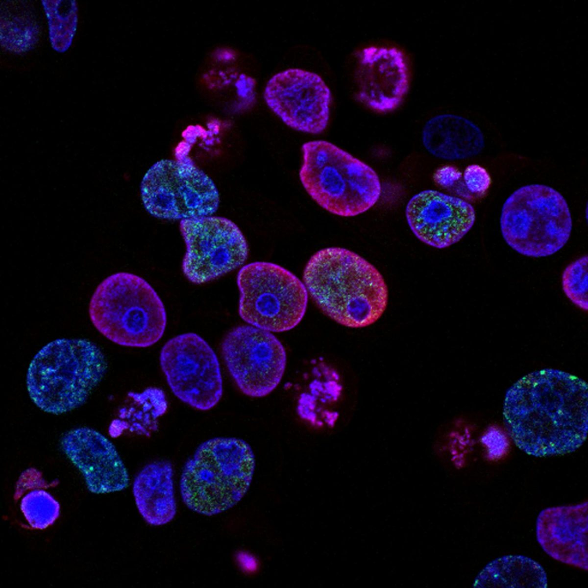 The Future of Medicine Is Microscopic