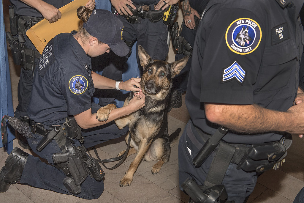 MTAPD Canine Unit at Grand Central, July 2019