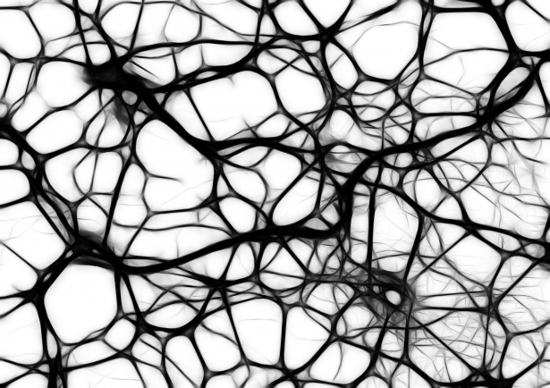 Brain in a Computer