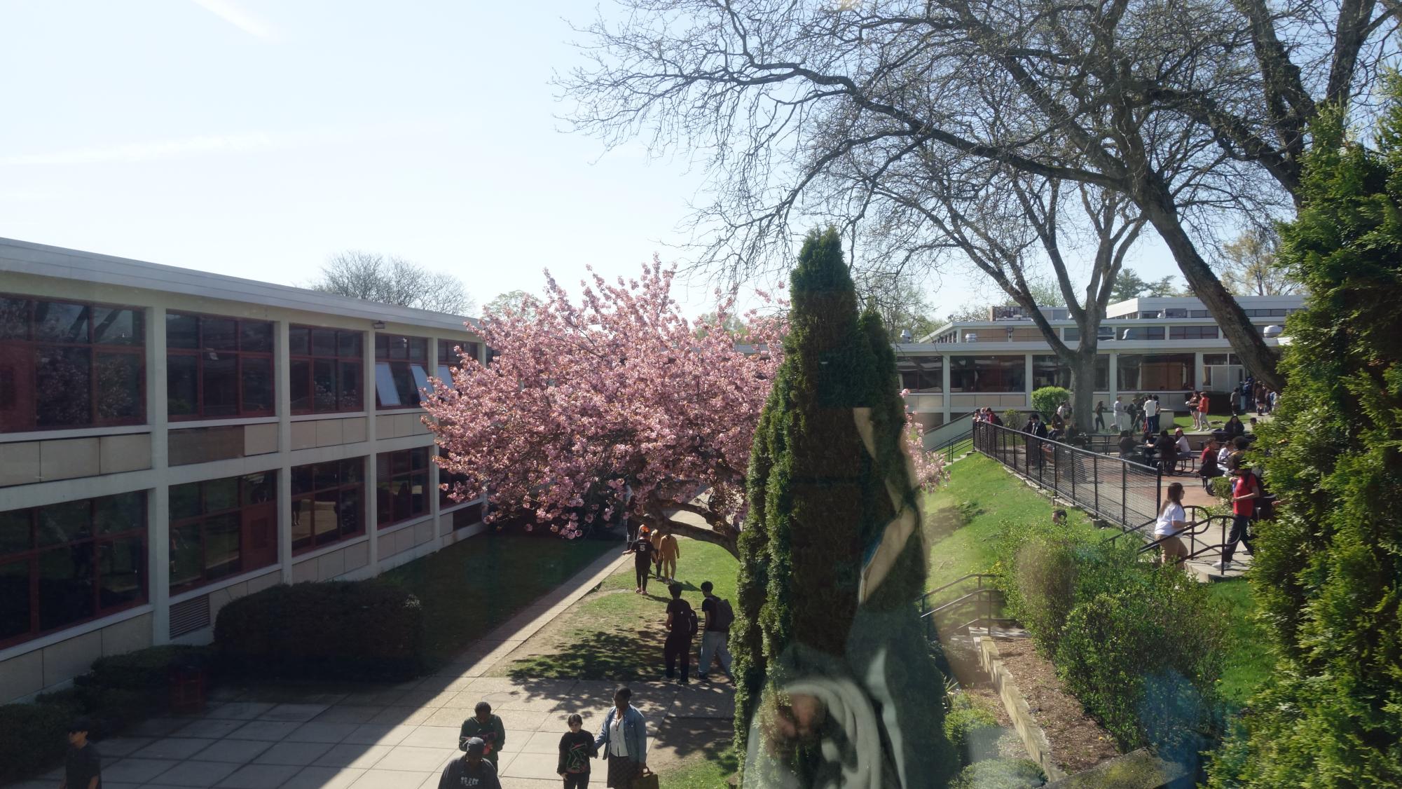 April Tiger Community Time in Photos
