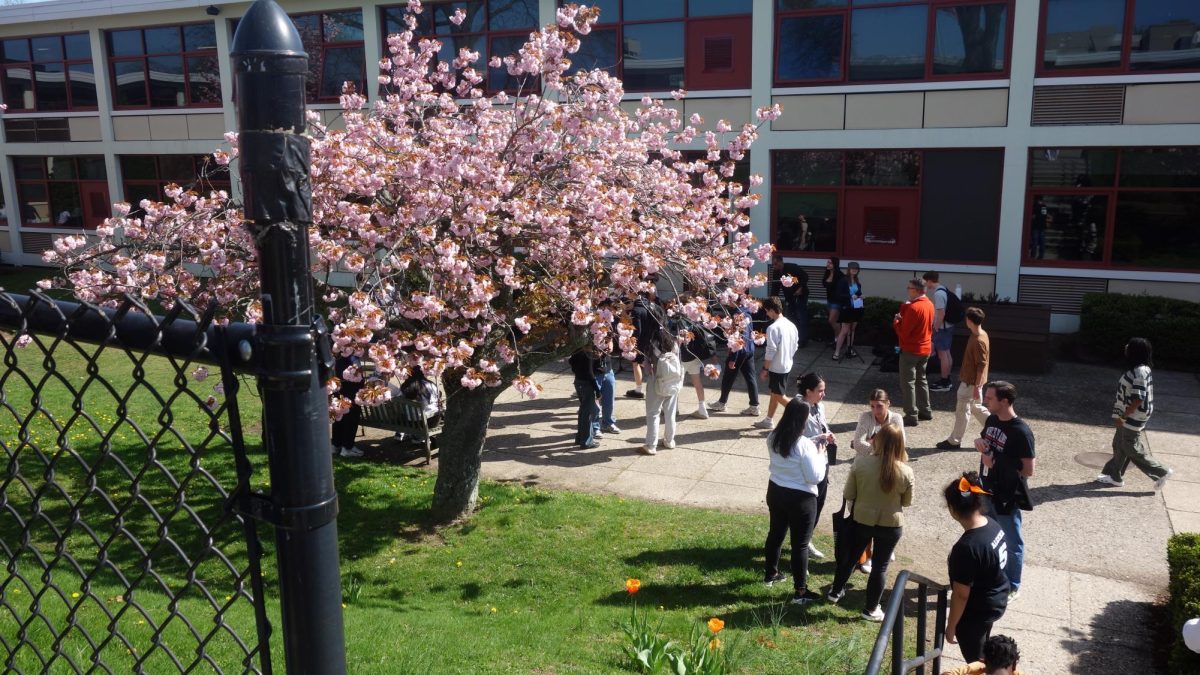 Students mill about in the courtyard during Tiger Community Time.