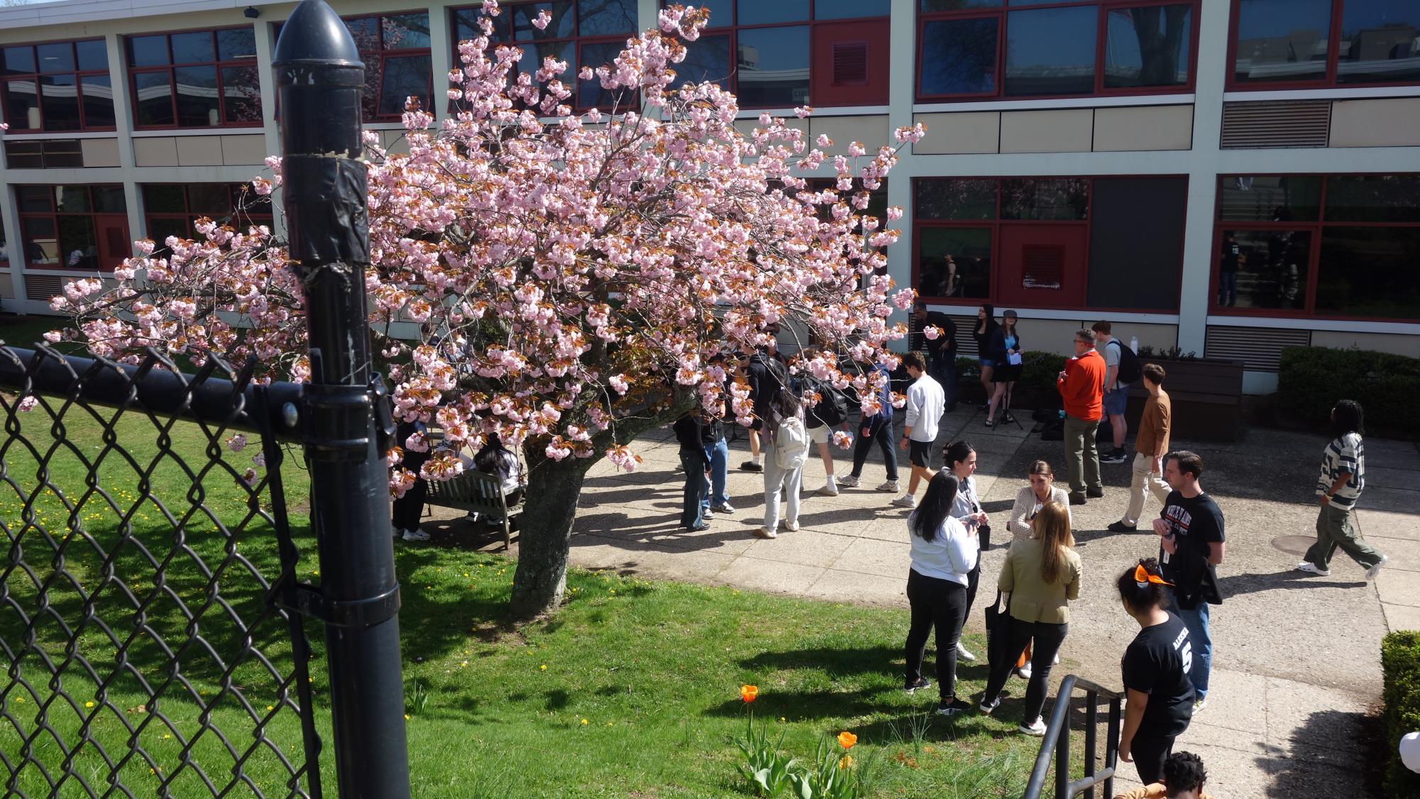 April Tiger Community Time in Photos
