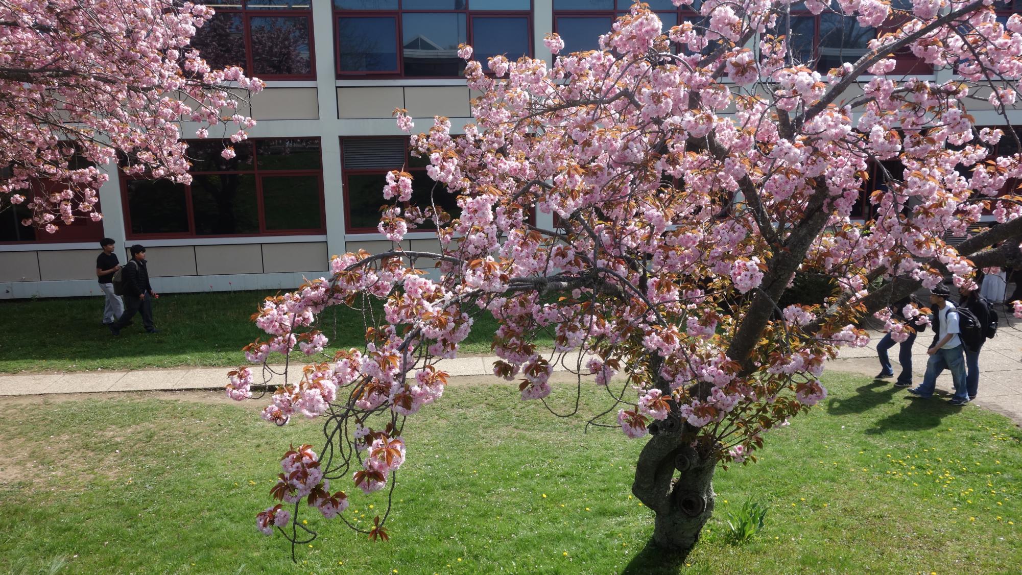 April Tiger Community Time in Photos
