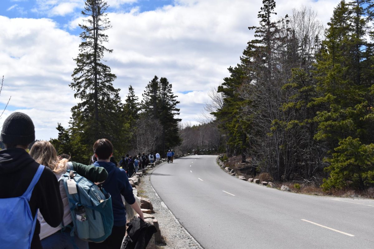 Students walking down the road at Acadia National Park.