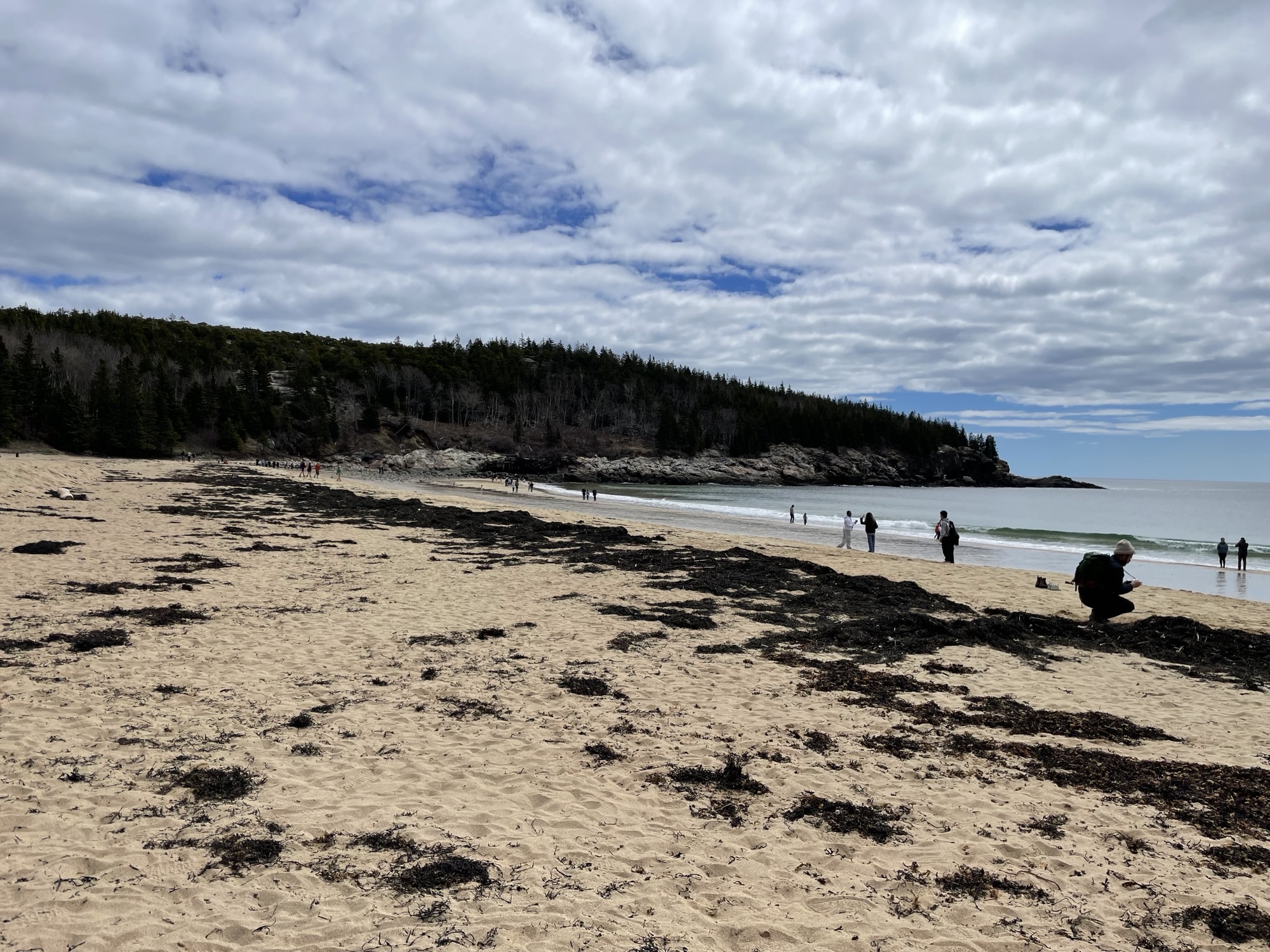 WPHS Musicians Take a Marvelous Trip to Maine