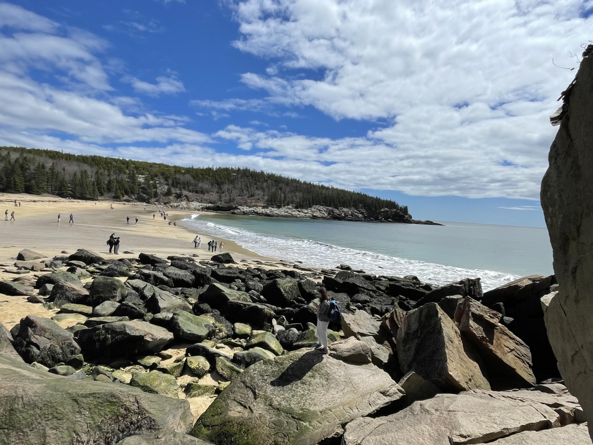 WPHS Musicians Take a Marvelous Trip to Maine
