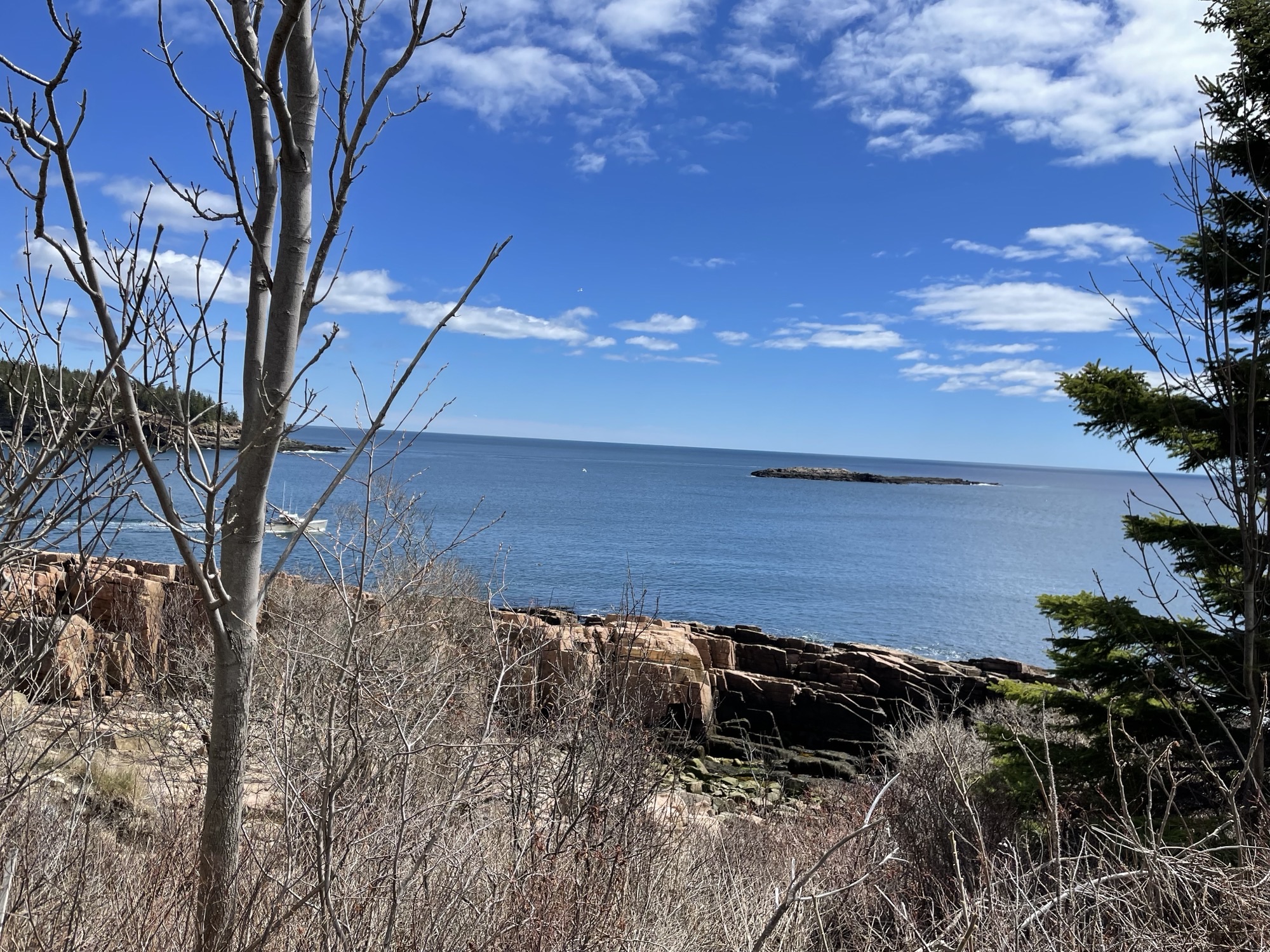 WPHS Musicians Take a Marvelous Trip to Maine