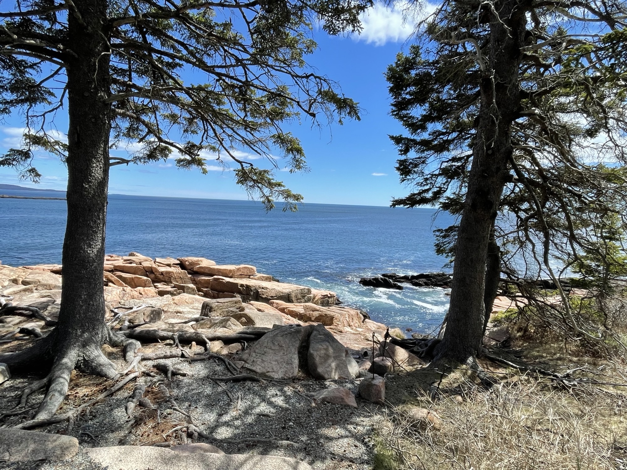 WPHS Musicians Take a Marvelous Trip to Maine