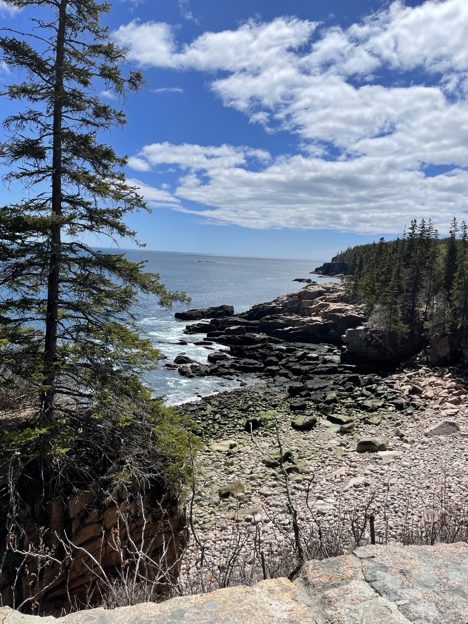 WPHS Musicians Take a Marvelous Trip to Maine
