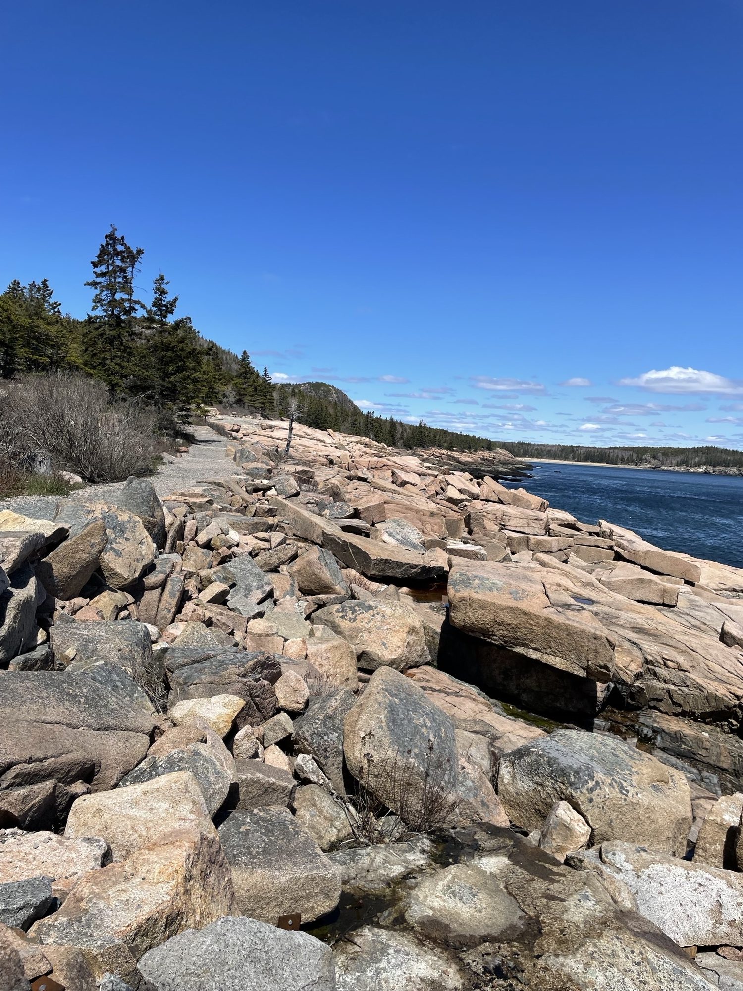 WPHS Musicians Take a Marvelous Trip to Maine