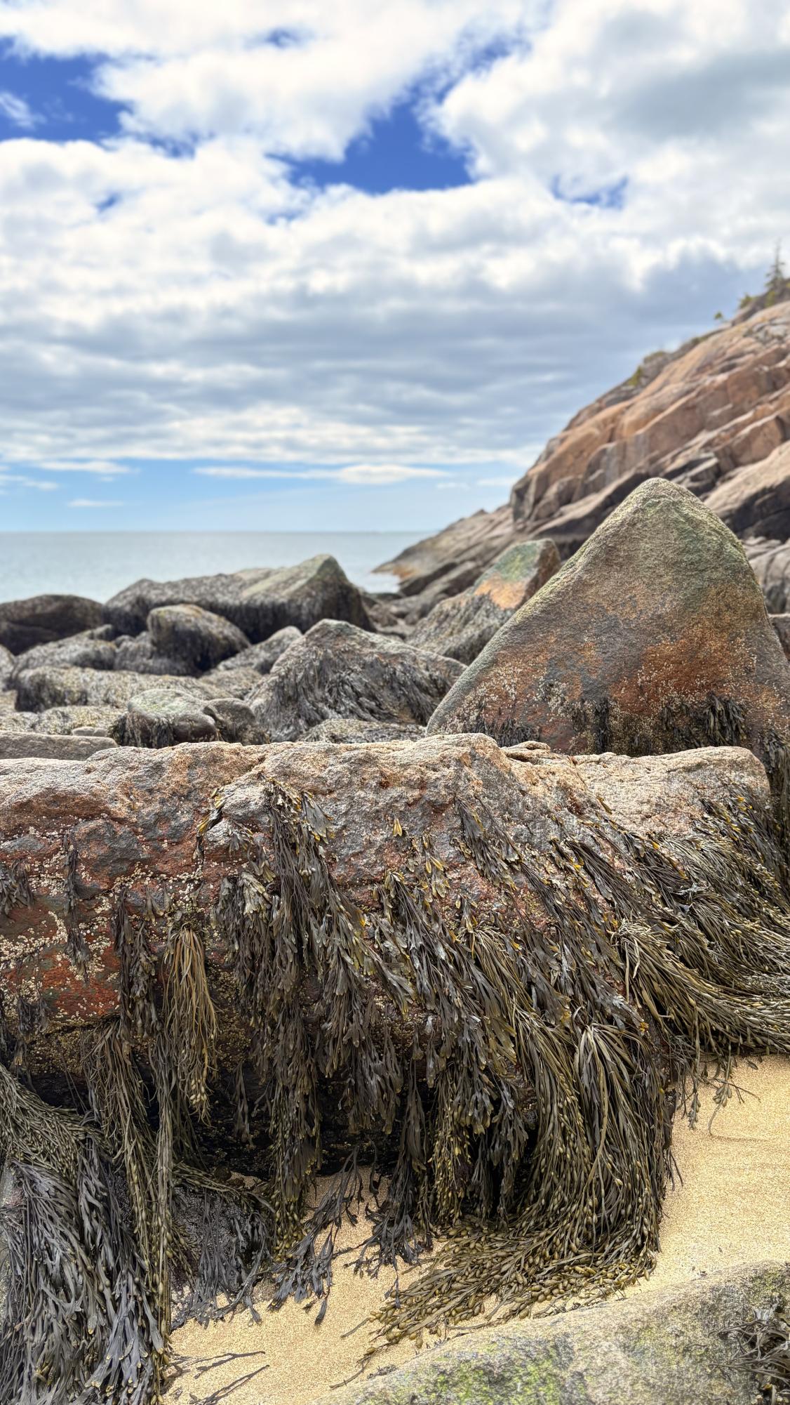 WPHS Musicians Take a Marvelous Trip to Maine