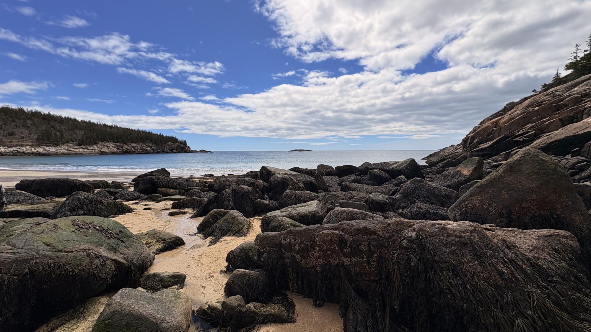 WPHS Musicians Take a Marvelous Trip to Maine